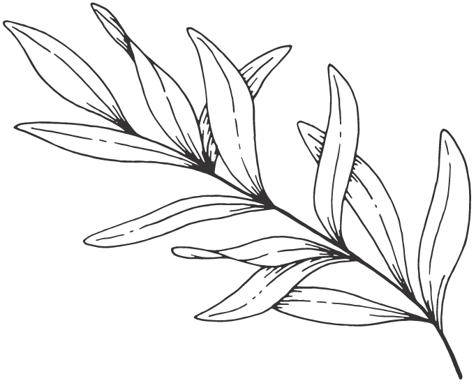 Tsavo Leaf Image