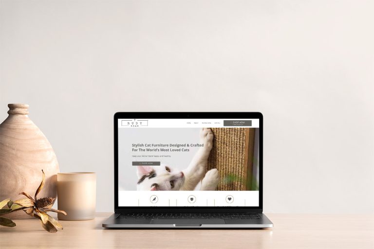 Affordable Website Design in NSW
