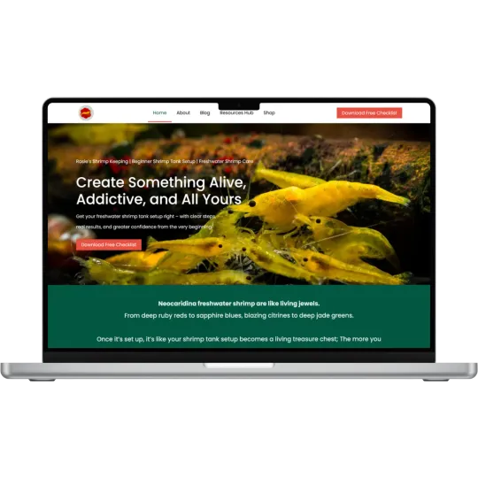 Untitled design 81 3 StoryBrand Certified Guide | results & Co